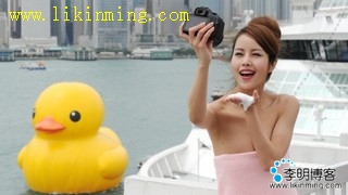巨型鸭仔香港游